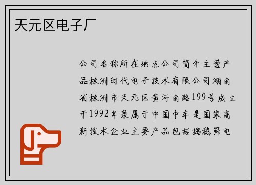 天元区电子厂